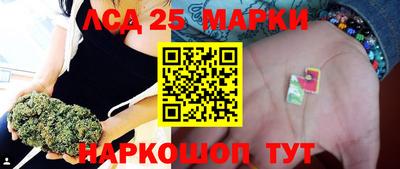 индика Гай