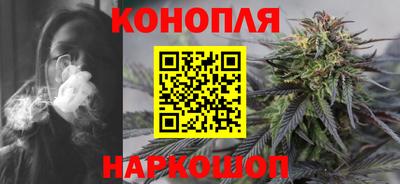 индика Гай