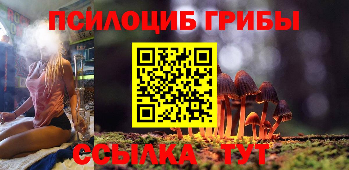 Дюртюли  Псилоцибиновые грибы GOLDEN TEACHER  Вход с VPN 