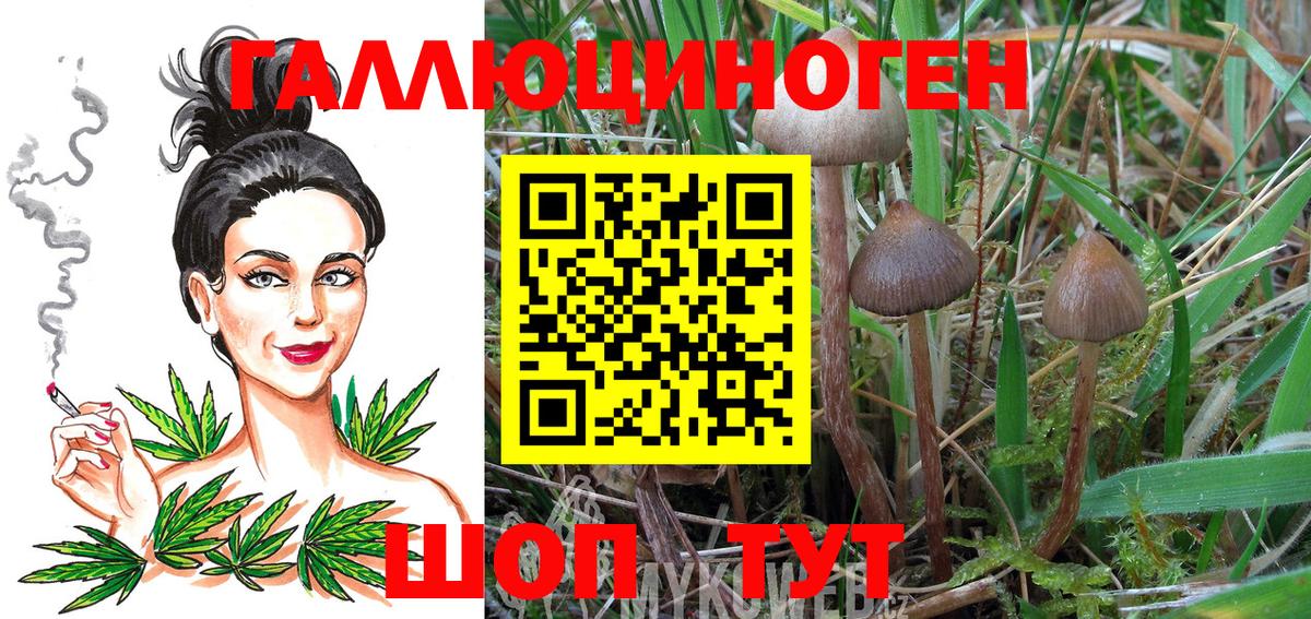 Псилоцибиновые грибы прущие грибы Дюртюли